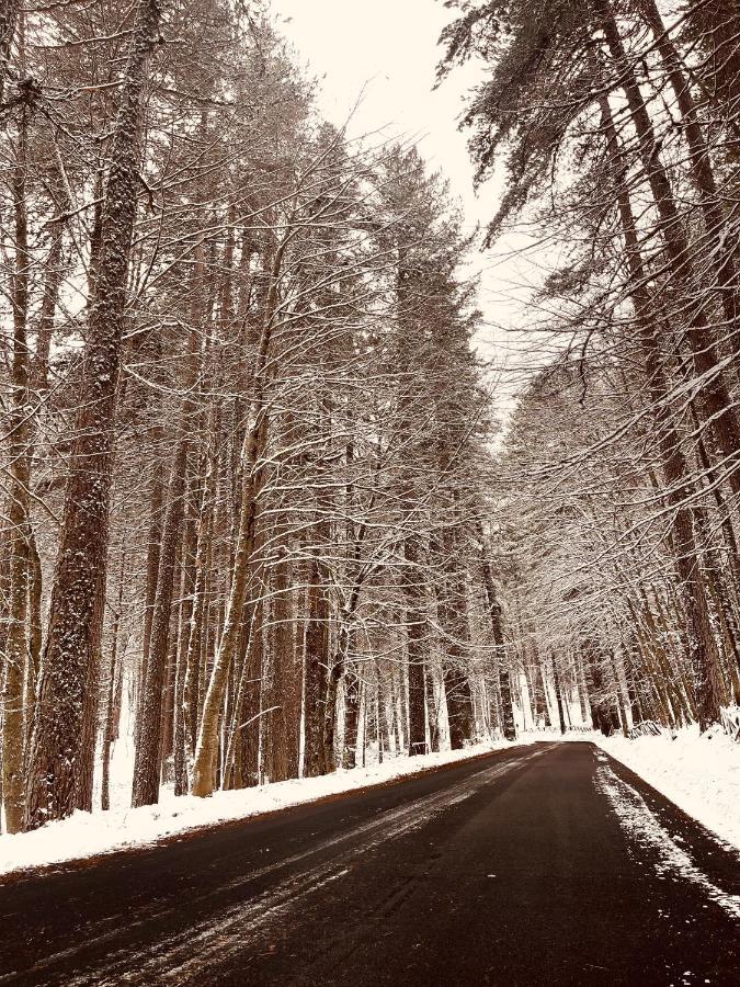 La Veranda Nella Neve - Camigliatello Silano Buitenkant foto